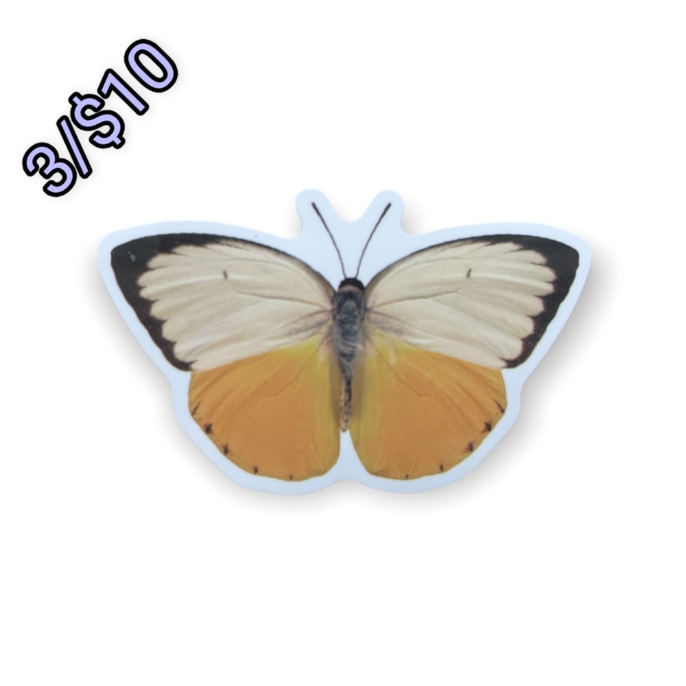 ✨$3/$10✨Butterfly Sticker